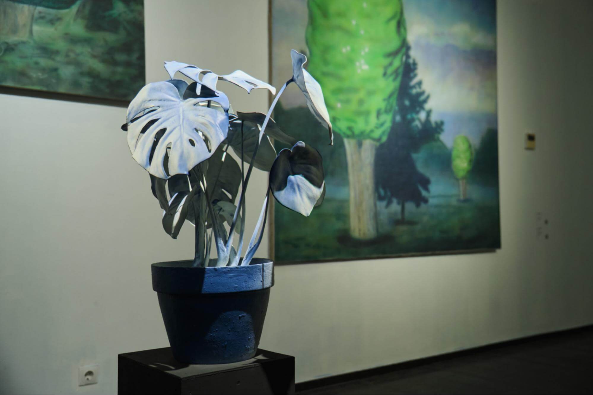 Daniel Arsham, Monstera